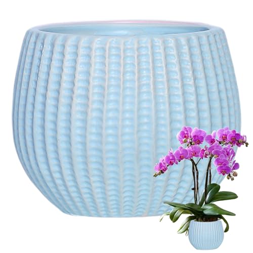 Pots en céramique durables pour sublimer chaque plante intérieure - 5