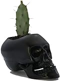 Ideal para planta aérea Macetero de Diseño de Calavera (Negro)