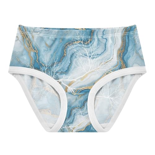 Toddler Panties, Blue White Marble Girls' Cotton Brief Underwear, 2–8 Years