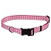 coastal pet products, inc. 06902 a pdt26 1 -Inch, Adjustable, Pink Dot Pattern, Nylon Fashion Collar
