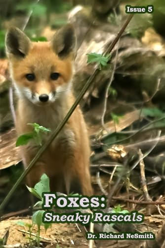 Foxes: Sneaky Rascals (Love of Nature)