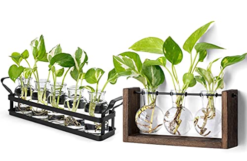 Mkono Glass Planter Plant Terrarium With Stand, Tabletop Glass Planter Propagation Bulb Vase Metal Holder Perfect For Propagating Hydroponic Plants Flower Cutting Home Office Garden Decor #TOP12