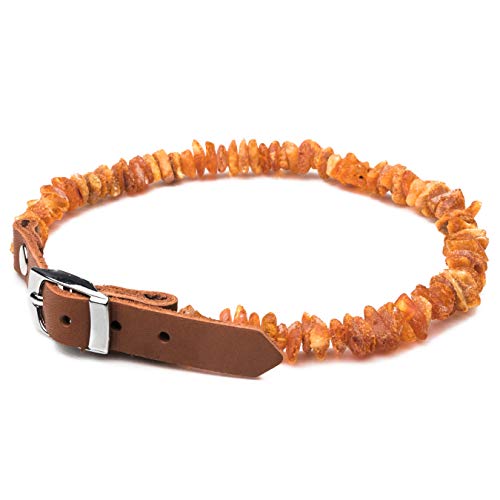 Amber Neck – Bernsteinhalsband für Hunde & andere Haustiere – Handgemacht aus echtem baltischen Bernstein – Echtes Leder – Verstellbar – Geschenkverpackung – Größen 40-45 cm