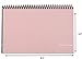 The Superior Register - Simple Account Tracker - Big Checkbook Register & Financial Ledger - Debit Card Register - Bank Register - 1 Pack, Pink, Wide Edition