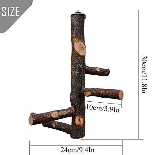 image for kathson Parrots Perch Natural Fruit Wood Stand Toy Branch Paw Grinding