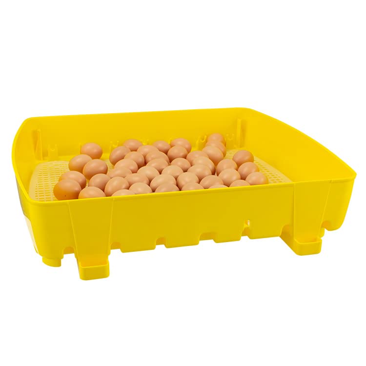 Incubadora digital semiautomática ET49 con aditivo antibacteriano Biomaster™ - River Systems - Capacidad 49 huevos de tamaño mediano 0 196 pequeños