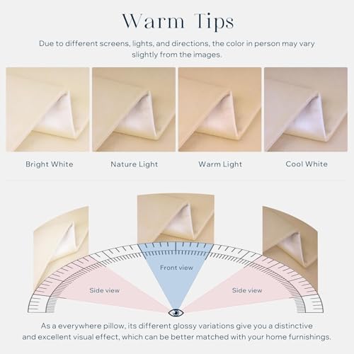Image of 5 Piece Holland Velvet Cushion Cover, 24x24 inch, Beige | Soft Solid Decorative Throw Square Pillow Cases Modern Luxury Home Decor for Couch Sofa Bedroom Livingroom