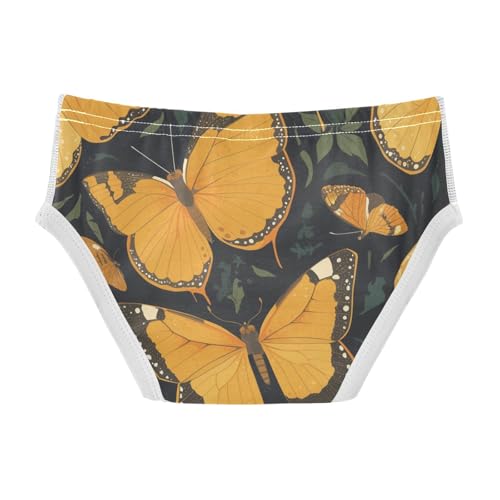 KLL Monarch Butterfly Toddler Boy Pure Cotton Athletic Underwear Breathable Children Undies2