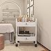 Salon Beauty Cabinet Cart Trolley 2-Layer Rolling Storage Drawer Organizer Wheels Lockable Tool Salon Station Barber Stylist Equipment Makeup Spa Cart (White-2 Layer)