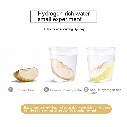 Générateur d'eau ionisée à hydrogène portable SPE PEM 350ml - 6
