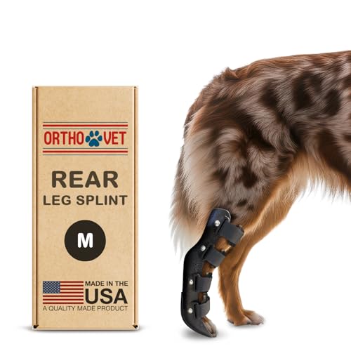 OrthoVet Standard Rear Splint