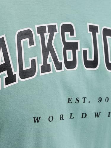 JACK & JONES Jjecaleb Varsity Tee Ss O-Neck Noos Pls - Plus Size – Ansicht 5