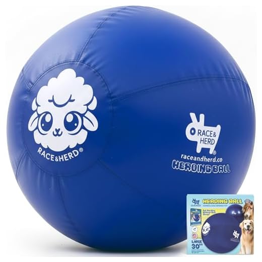 Race&Herd Original Herding Ball
