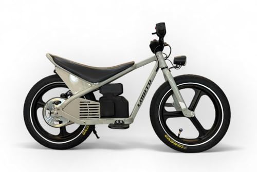 Lobito Mini Moto Bike Eléctrica para Niños de 5-10 Años – Motor 150W, Velocidad Máxima 15km/h, Autonomía de 15km, Frenos Hidráulicos y Luz LED – Compacta, Segura y Divertida (Gris)