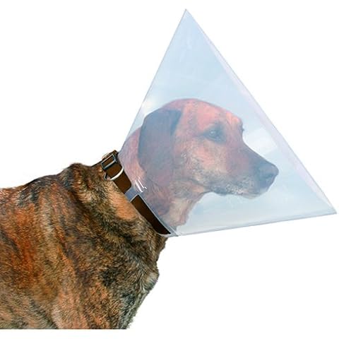 Beeztees 796003 Hundekragen aus Plastik Cover