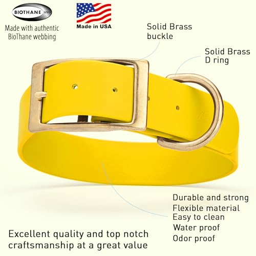 Image of Viper Biothane Heavy Duty Waterproof Dog Collar Strong Coated Nylon Webbing w /Solid Brass Hardware Odor-Proof Easy to Clean High Performance Fits Small Medium or Large Dogs, Lemon Yellow