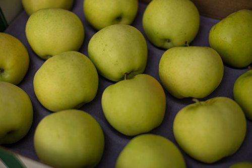 Ginger Gold Apples Gift Box (18-22 Apples)