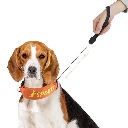 Enjoying Einziehbares Hundehalsband, All-in-One-Hundehalsband, integrierte einziehbare Leine, verstellbares Halsband für kleine und mittelgroße Hunde, Orange