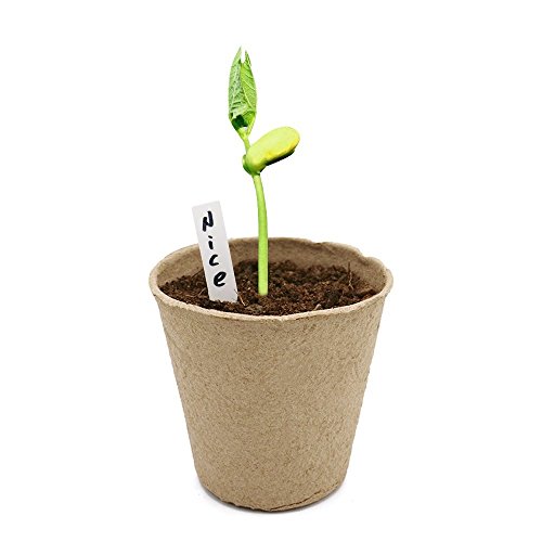 Kinglake 100 Pcs 3 Inch Peat Pots, Seeds Starter Pots,Transplant Seedlings Pots,Biodegradable Pots With 100 Pcs White Plastic Plant Labels #TOP6