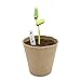 KINGLAKE 100 Pcs 3 Inch Peat Pots, Seeds Starter, Transplant Seedlings With 100 Pcs White Plastic Plant Labels