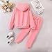 Arlubiya Girls 2 Piece Outfits Fashion Color blocked Hooded Top+Color blocked Pants Outfits Set Size 7 8