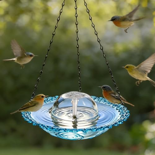 Fuente de jardín eléctrica, bomba antioxidante transparente para balcón 4