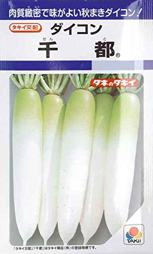 _CR@^LCz@s@^LC̃_CRł