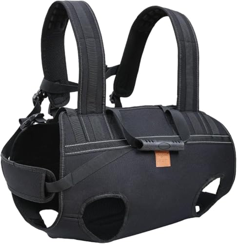 ^pybgL[obOibNEXOpj /Ԍp яoh~  AEghAEsEo֗ (XXL)