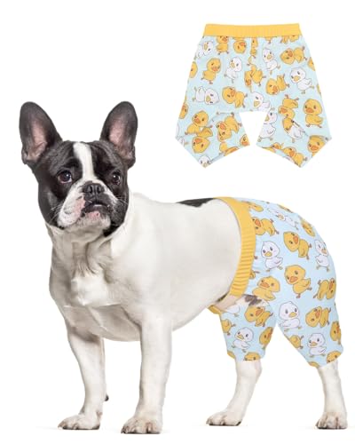 Image of CuteBone Dog Swim Trunks Swimsuit Durable & Comfortable - Quick-Dry, Adjustable Waistband Shorts, UV Protection Bikini- Perfect for Beach, Pool & Outdoor Fun, Dinos DST09S