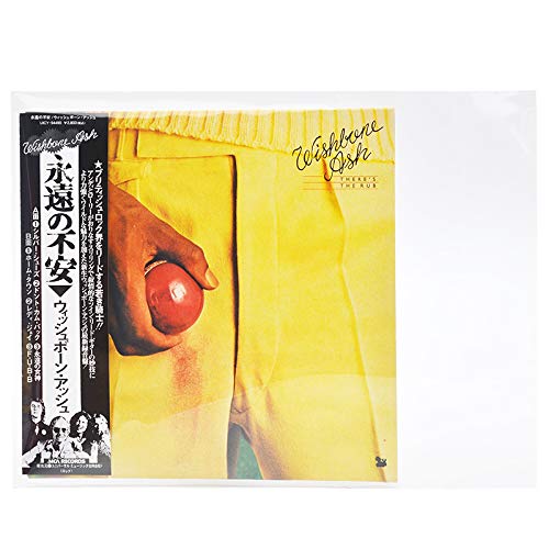 Manchons en plastique refermables 4,7 Mil pour mini LP SHM-CD lot de 50