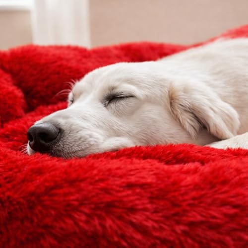 Image of ZEXSAZONE Round Donut Summer Comfortable Durable 2 in 1 and Washable Pet Bed | Cat Bed | Puppy Bed | Dog Bed | Medium Dog Bed for Cats Puppies Labrador German (Red Medium)