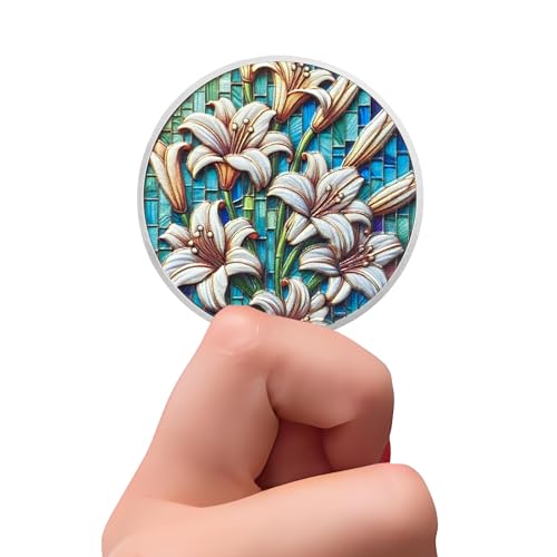 Conjunto de presentes de moedas de sobriedade de flor de lírios | Medalhão AA prata com cápsula de m