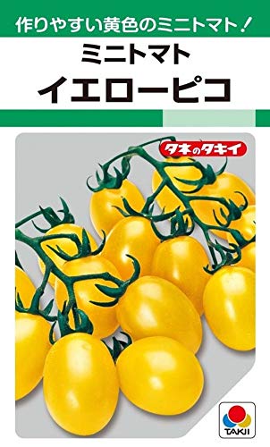 黄色のミニトマト  Amazon.co.jp: タキイ種苗 ミニトマト イエローピコ : DIY・工具・ガーデン