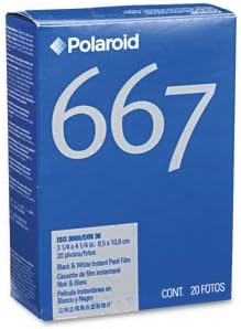 Polaroid Type 667 Instant Black and White Film, 3000 Asa, Two 10-exposure Cartridges Per Pack