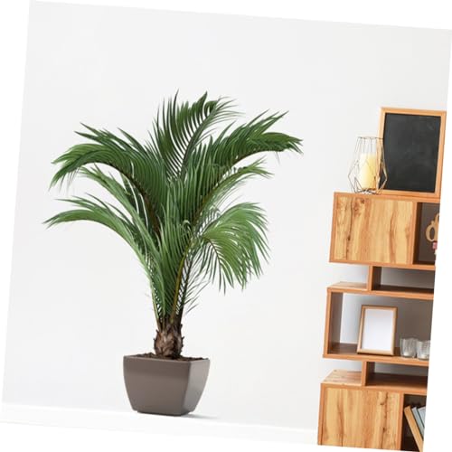 Pegatina de pared de interior autoadhesiva Cabilock vinilos lavables de plantas 4 piezas 8