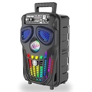 Idance Bluetooth PartyBox Funky Skull FS400 – Enceinte Party Bluetooth Portable avec Effets Lumineux
