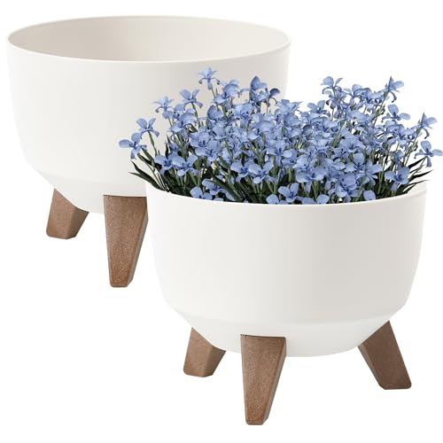 PECZEKO vaso di fiori | vaso di fiori sottobicchiere | Fioriera | 2x set di cachepot | Ø 24 tondo | Crema per vasi di fiori
