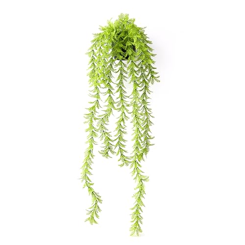 Image of TIED RIBBONS Set of 2 Artificial Hanging Ferns Plants with Pot Potted Greenery for Wall Home Decor Wall Pot Indoor Outdoor Office Garden Balcony Decoration Items (70 Cm, Long)