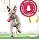 KONG Flyer - Langlebiges Outdoor Hundespielzeug - Wurfscheibe aus Naturkautschuk zum Apportieren - Für Kleine Hunde