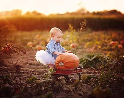 Miniatura 3 de Belababy - Falda tutú para bebé (tutús, 5 capas, de tul para niñas y bebes)