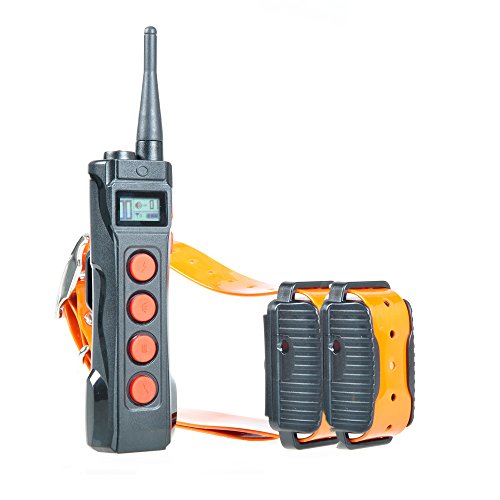 Aetertek Two Pet Dog Training Waterproof Shock Collar System E-Collar Electronic Remote Control Set Tool 10 Levels Of Shock + Vibration+Beep #TOP5