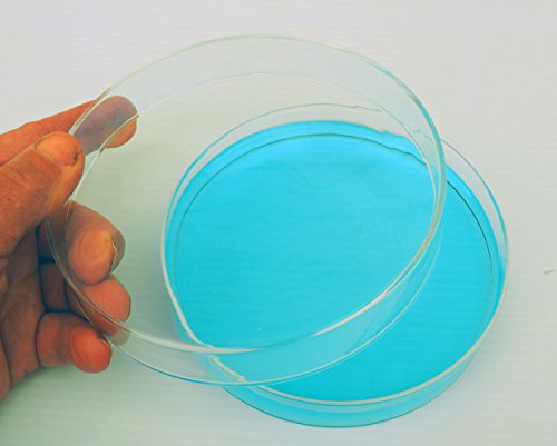 Petri Dish, Clear Borosillicate Glass, 150mm X 30mm, Pack of 2