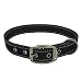 Max and Neo MAX Reflective Metal Buckle Dog Collar - We Donate a Collar to a Dog Rescue for Every Collar Sold (Medium, Black)