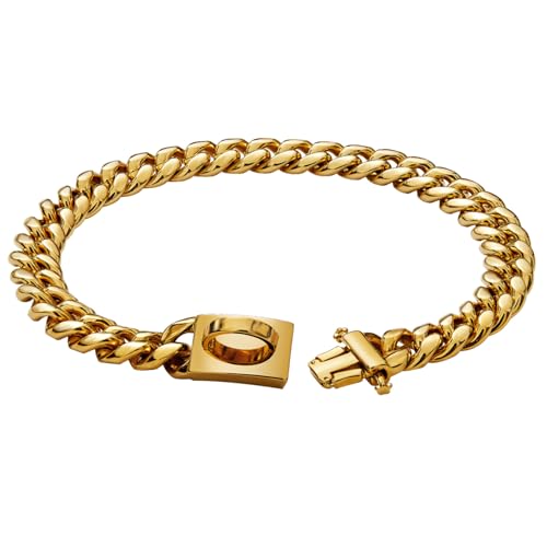 Hundekettenkragen 19mm Dickes Gold Metallhundkragen Edelstahl Hundekette mit Schnalle Starker schweres Hundehalterkragen Haustierkragen für kleine mittelgroße Hunde, Metallhundkragen
