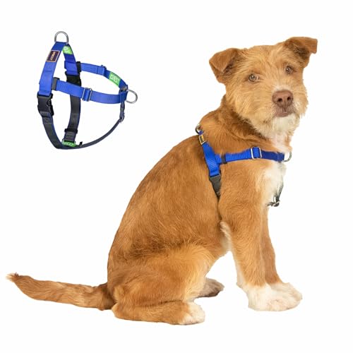 APDEXY Easy Walk No Pull Dog Harness Blue Medium