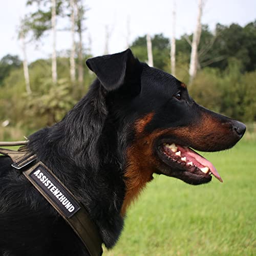 Café Viereck ® Hundehalsband Hundegeschirr Patch für Hunde mit Klett - 11 x 3 cm (Assistenzhund)