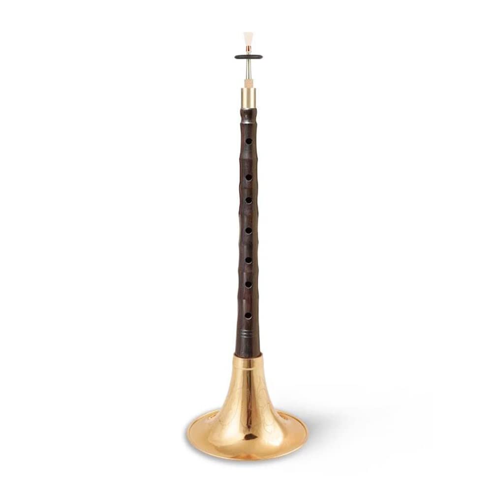 HCZKIUJY Big Red Acid Branch, Old Mahogany Suona, Flute, Professional Playing Instrument, Adult Examination Horn, Wedding/Funeral (#a)