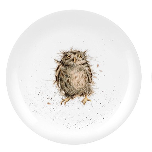 Wrendale Coupe Plate-What a Hoot (Owl), Bone China, Multi Coloured, 20.7 x 20.7 x 1 cm