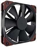 Noctua