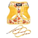 PUPTECK Dog Harness and Leash Set for Small Medium Dogs No Pull Step-in Soft Mesh Puppy Cat Vest Harnesses Reflective at Night Thanksgiving, Autumn, M